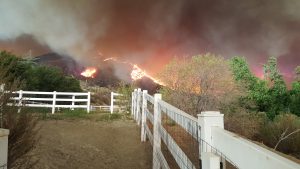 Sand Fire from our top paddock