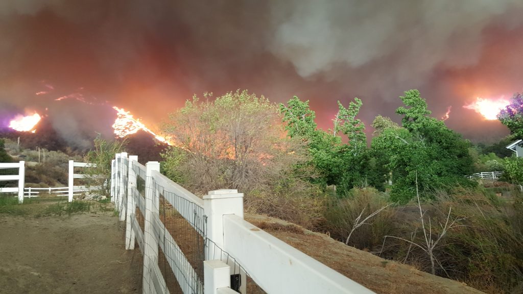 Sand Fire from our top paddock